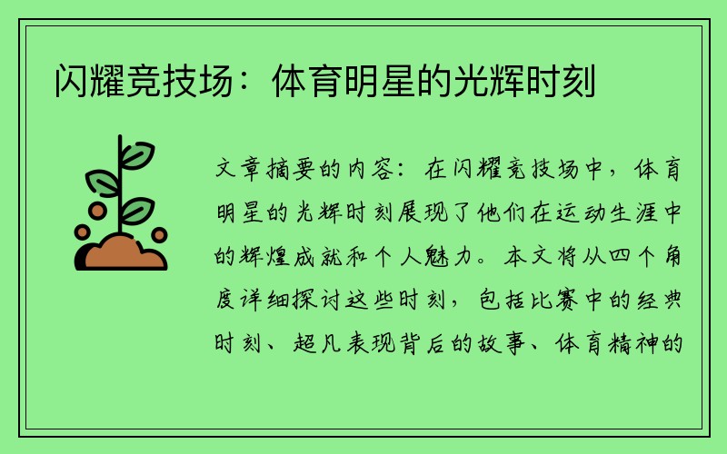 闪耀竞技场：体育明星的光辉时刻