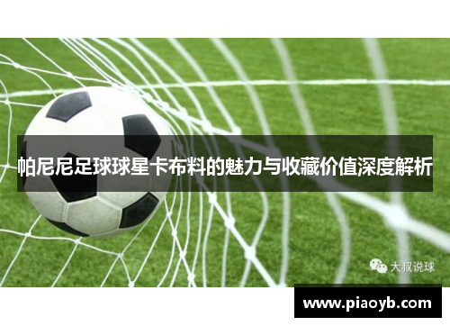 帕尼尼足球球星卡布料的魅力与收藏价值深度解析