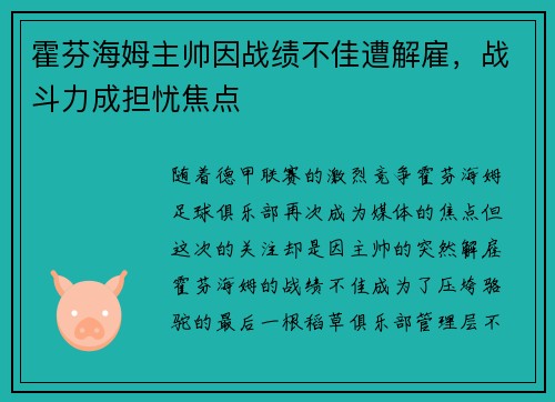 霍芬海姆主帅因战绩不佳遭解雇，战斗力成担忧焦点